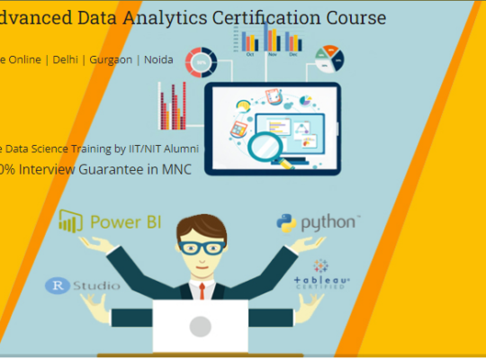 Job Oriented Data Analyst Course in Delhi, 110099.