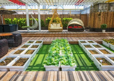 Home & Garden