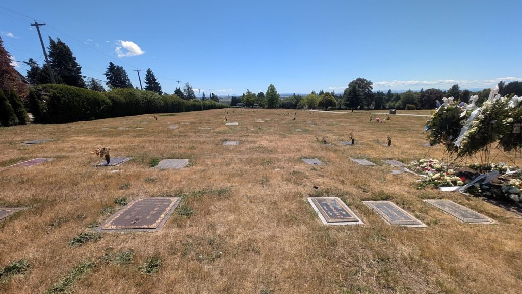 3-Facing-south-1